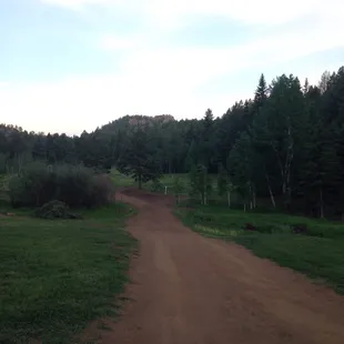 Dirt road heading over the creek to the tent area. Our tent was set up about 100 yards to the right tucked up next to the trees.