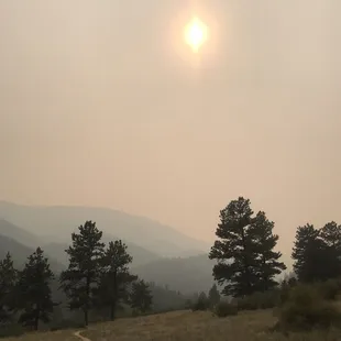 Extreme haze from the fires today. 9/7/20