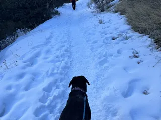 Reynolds Park Open Space