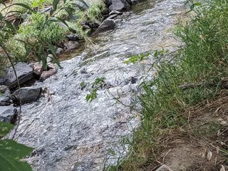 Creekside Experience Park