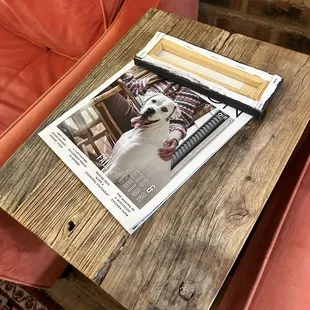 So cute lost dog mag!