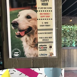 Yappy Hour