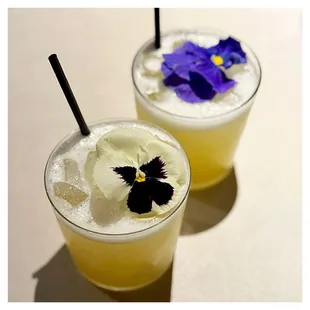 sushi and sashimi, drink