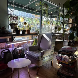 a living room with a lot of plants