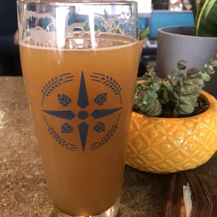 Homeward Bound (New England Hazt IPA)