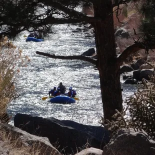 Rafting Colorado