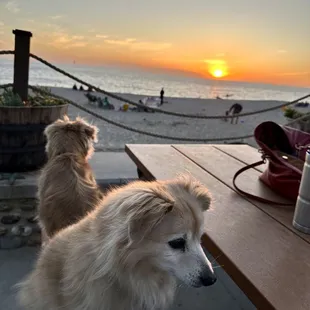 Enjoying the sunset at Lost Pier