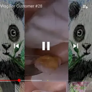 sushi and sashimi, interior