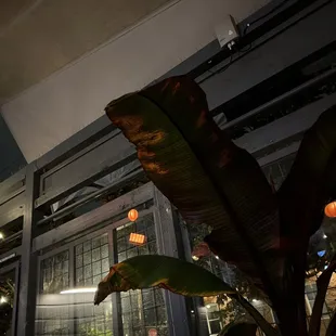 Great Friday night spot!