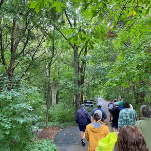 The walk down to the cave entrance.