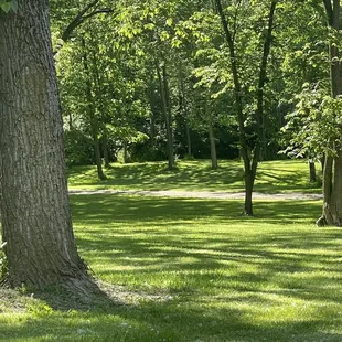a picnic table in a park