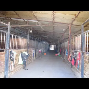 What the barn really looks like... Always swept and items are kept off the ground