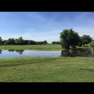 Pasture is green and nice and mowed