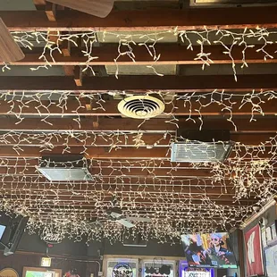 Bar Lights