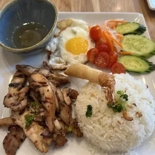 Rice combination plate with chicken