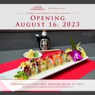 Lotus Opening August 16, 2023