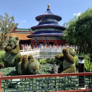 Amazing trees out front