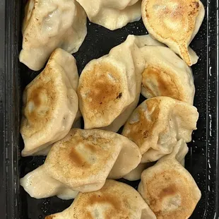 dumplings in a plastic container
