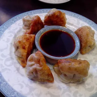 Pan fried pork dumplings