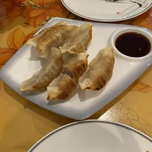Fried Chinese Dumplings
