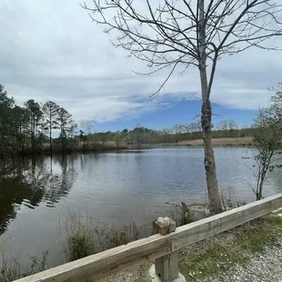 The lake.  No lily pads or lotuses. Only ones I saw were a few dried dead ones in the water  4/2022