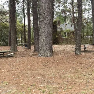 Picnic area to the left of the lake/pond  4/2022