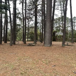 Picnic area to the left of the pond/lake  4/2022