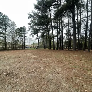 Fairly open area. The park. Not much to see. But a decent sized open space. 4/2022