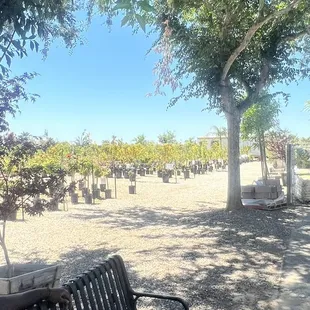 a park bench