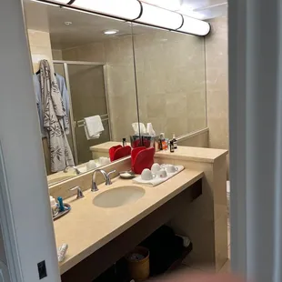 Large enough bath area with mini tub