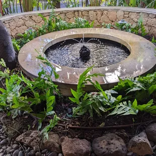 Fountain in the lobby area.