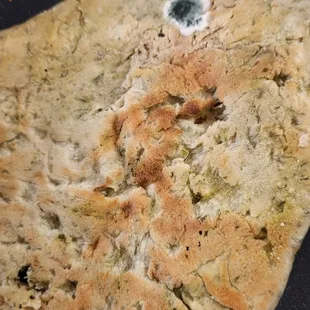 Fungus on Frozen naan
