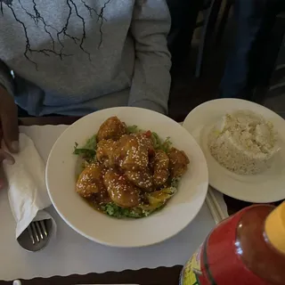 V16. Sweet & Sour Chicken