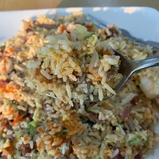 Duck Fried Rice