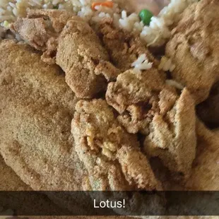 Fried Oysters