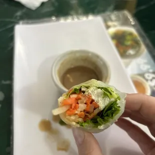 Spring Rolls