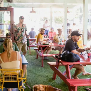 people sitting at picnic tables with their dogs