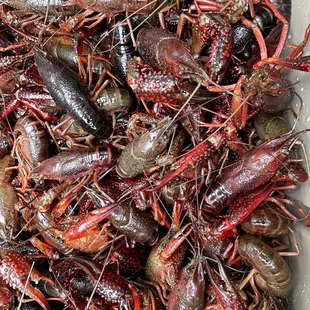 a pile of craws