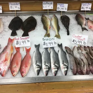 Fresh fish, never frozen!!