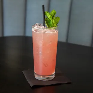 Booze Cruise: Gin, Cranberry and Mint Cocktail!