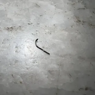 Metal wire found in my food?!?!