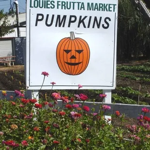 a sign for pumpkins