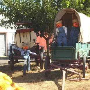 two people in a covered wagon