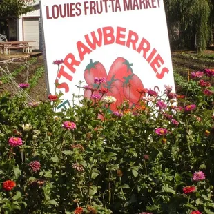 a sign in a garden