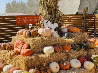 Perry’s Market