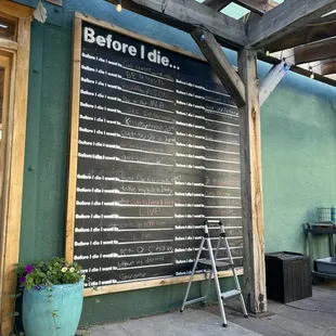 Candy Chang&apos;s &quot;Before I Die&quot; public art exhibit