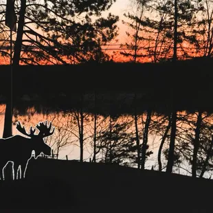 Night time lake shot