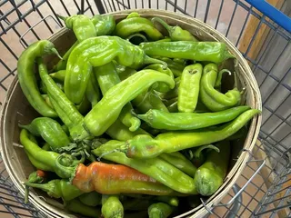 Wagner Farm Corrales