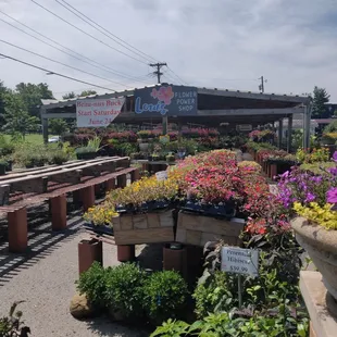 Louis' Flower Power Shop: It's a sizable compact lot and the parking is easy!  It's in the same parking complex as the Fresh Market.