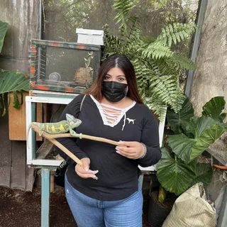 Ixchel O.